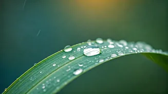 Protect Your Skin Better During Rainy Weather