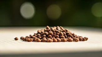 Cassia Seeds: Unlocking a Natural Superfood for Digestive, Vision, and Weight Wellness