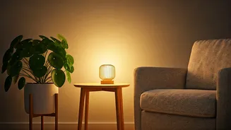 How To Build A Cozy Money-Plant Reading Corner Easily