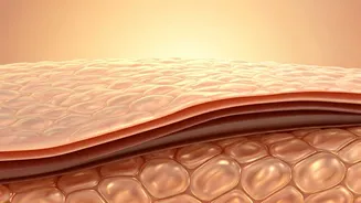 Why Healthy Skin Starts With A Strong Barrier