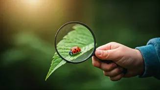 Related Stories banner