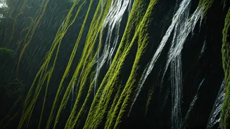 India's Adventure Climbers Are Loving Monsoon