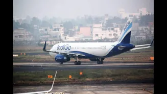IndiGo Launches Direct Mumbai–London Flights: Check Schedule, Fares And Onboard Perks