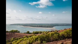 Best Beaches in India for Winter Travel