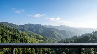 Affordable Mountain Stays In Kalimpong Provide Remote Tech Workers Great Wifi Access