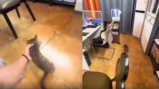 Related Stories banner