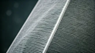 Delhi's Smog: 5 Ways to Breathe Easier & Stay Healthy