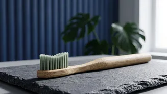 Dental Care Is Becoming Part Of Preventive Pet Health Rather Than An Afterthought