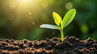 Nurturing Mentally Strong Kids: Simple Steps for Building Resilience from Day One