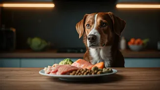 Ditching Store-Bought Kibble: The Fresh Dog Meal Playbook Inside