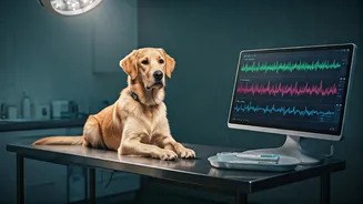 Gen Z Pet Care Vlogs Highlight Strict Preventive Health Checkups