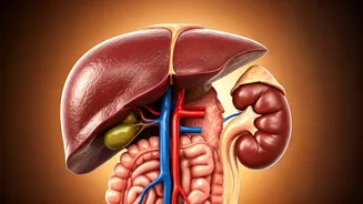 How Does Weight Gain Affect Your Health?