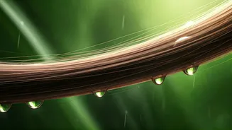 Why Monsoon Makes Hair Break More Easily