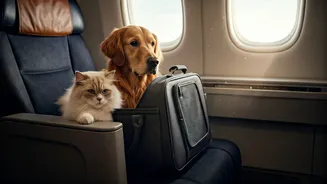 Pet Travel Has Officially Entered The Mainstream