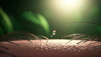 Scalp Care Is Taking Over Monsoon Beauty