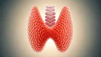 10 Subtle Habits That Harm Your Thyroid (As Per Experts)