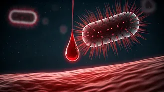 From a Tiny Cut to a Life-Threatening Battle: Melioidosis's Silent Threat