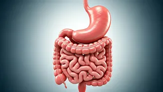 Healthy Fasting: Risks and Rewards Explained