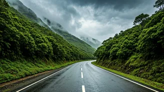 Chasing Monsoons? Read These Live Western Ghats Road Updates