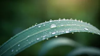Is Monsoon Quietly Damaging Your Skin Health?