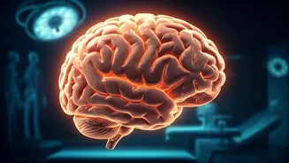 Sharpen Your Mind: Habits for a Sharp Brain After 40