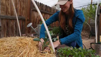 Strategies for Growing Food with Limited Water Resources Amid Drought Conditions