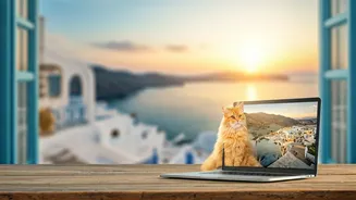 Live in Syros, Greece for Free: A Purr-fect Opportunity for Remote Workers!