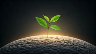 Unlock Your Weight Loss Journey: 6 Proven Motivation Strategies That Actually Work