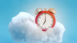 How 10 Minutes Of Morning Sun Balances Internal Clocks And Enhances Focus