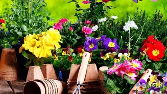 Fresh Interest in Seasonal Home Gardening: Checking Kharif Timing Matters More than Random Seed Shopping