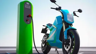 Plant-Based Battery Materials: Agricultural Leftovers For Faster E-Bike Charging