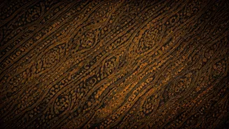 Dabu Printing: Rajasthan's Ancient Mud Resist Craft Unveiled