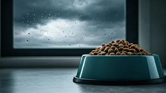 Vets Warn Pet Parents About Monsoon Meal Planning