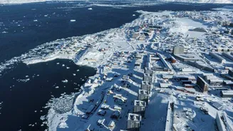 Why Trump Wants Greenland: Island's Treasure Trove Beneath the Ice