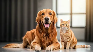 These Monsoon Habits Can Protect Your Pets
