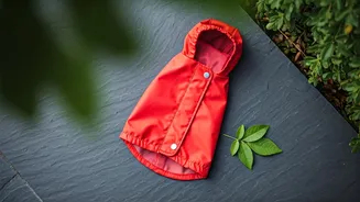 Why Gen Z Demands High Quality Pet Raincoats