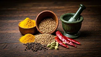 Enjoy The Flavors Of India's Best Cuisine