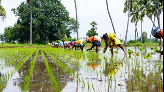 ₹281 crore allocated for safety measures ahead of northeast monsoon in Nagapattinam
