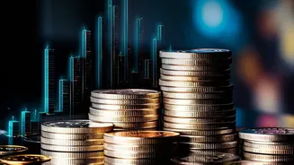 Startup IPOs Are Attracting Retail Investors: What Should You Check First