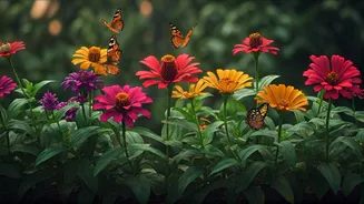 Monsoon Balcony Sanctuary: Native Plants Invite Butterflies Fast Today