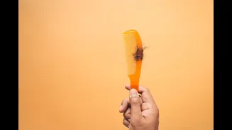 Hair-fall spikes the week before monsoon: the scalp signals trichologists watch for in early June