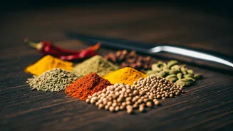 Karisma Kapoor on MasterChef: A Culinary Kapoor Legacy!