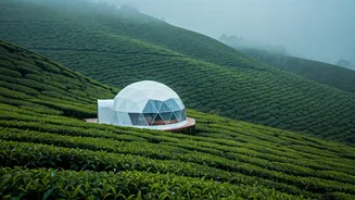 Munnar Tea Gardens Feature Trending Misty Geodesic Glamping Domes