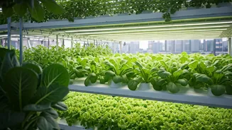 Become Pioneer In India’s Sustainable Green Urban Food Revolution