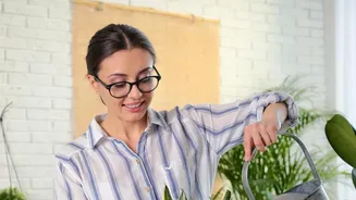 Keep Houseplants Healthy By Rethinking Watering During Humid Weeks