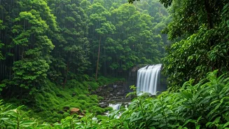 Off-Season Kerala Is India's Smartest Rainy Escape