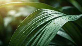 Thriving Greenery: 5 Essential Summer Plant Care Tips for Vibrant Foliage