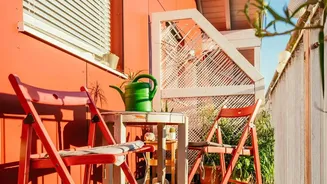 Why Balcony Herb Gardens Are Perfect For Beginners During The Rainy Season