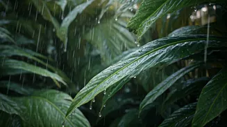 Why Divine Feminine Energy Is Celebrated During Monsoon Mela