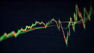 Groww IPO: A Detailed Analysis of the Initial Public Offering